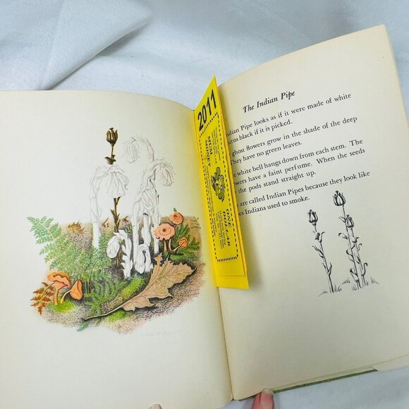 Book of Wildflower 1939 with Pressed Floral Lady Slipper  Margaret McKenny - Picture 9 of 11